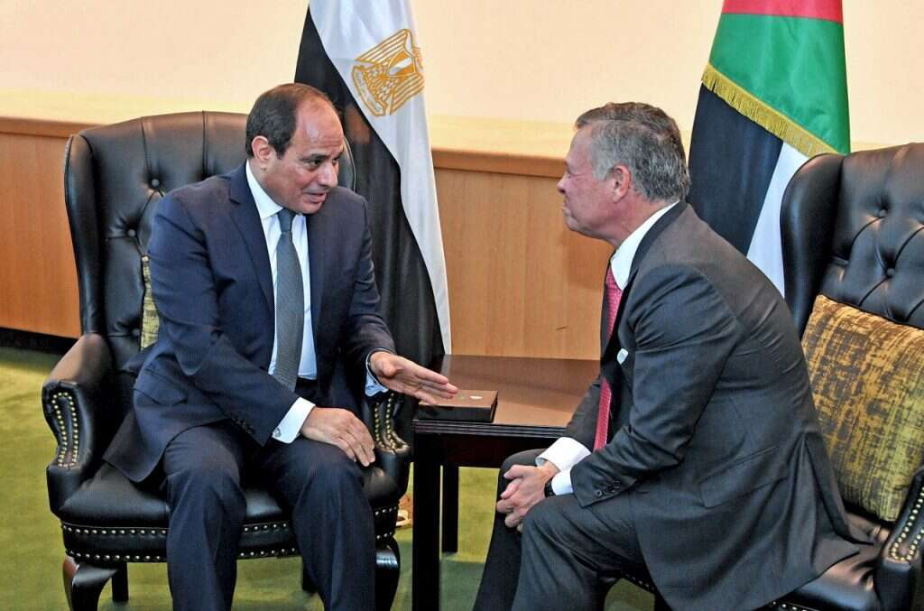המלך עבדאללה וא-סיסי בניו יורק. | AFP