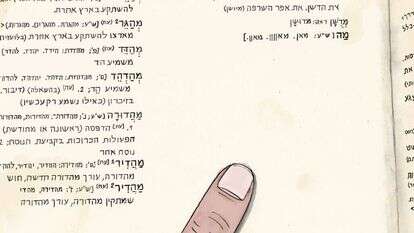 איור: שרון ארדיטי איור: שרון ארדיטי