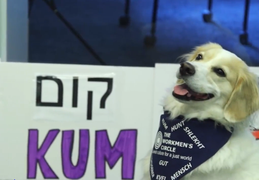 מתוך יוטיוב