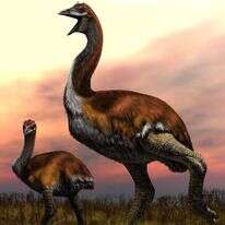 איור משוער של ה"וורומב טיטן". | AFP