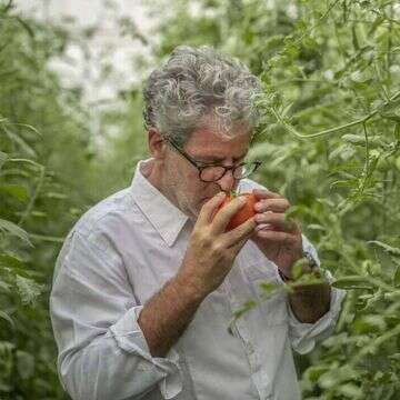 אייל שני. | פיני סילוק