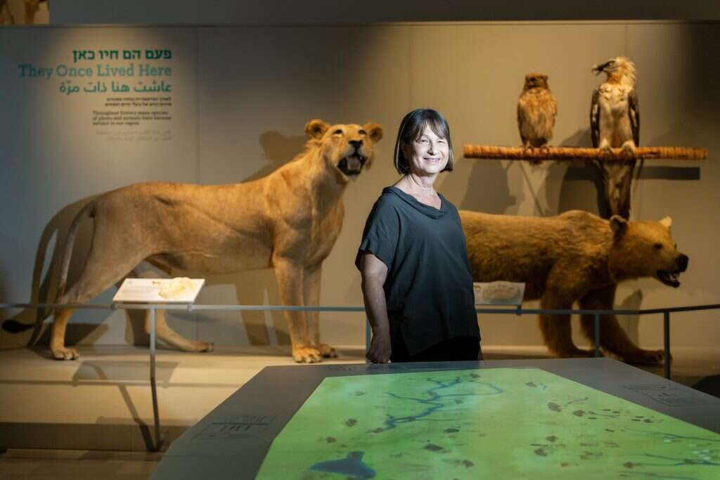 פרופ' תמר דיין. | אבישג שאר-ישוב