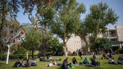 קמפוס האוניברסיטה העברית. | מרים אלסטר, פלאש 90