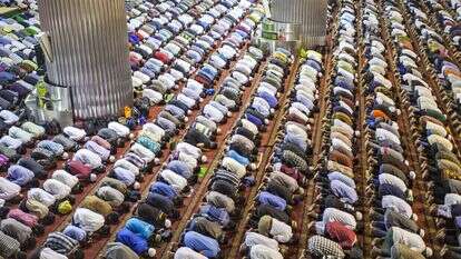 שאטרסטוק שאטרסטוק