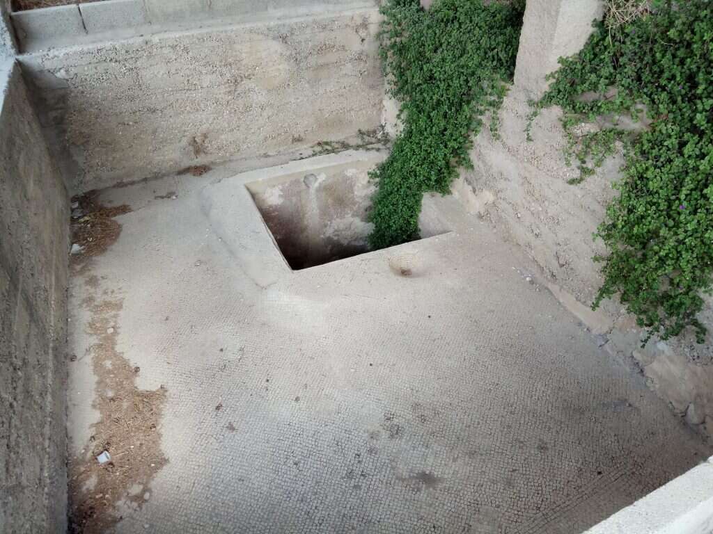 גת קדומה בחצר כנסייה בהר הזיתים, המזוהה כמקום שבו שרפו בעבר פרות אדומות. | ארנון סגל