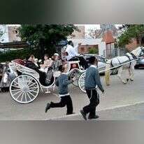 חסידי צאנז נוסעים בכרכרה בדרכם לחתונה. | פלאש 90