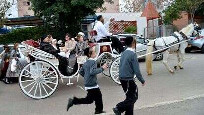 חסידי צאנז נוסעים בכרכרה בדרכם לחתונה. | פלאש 90