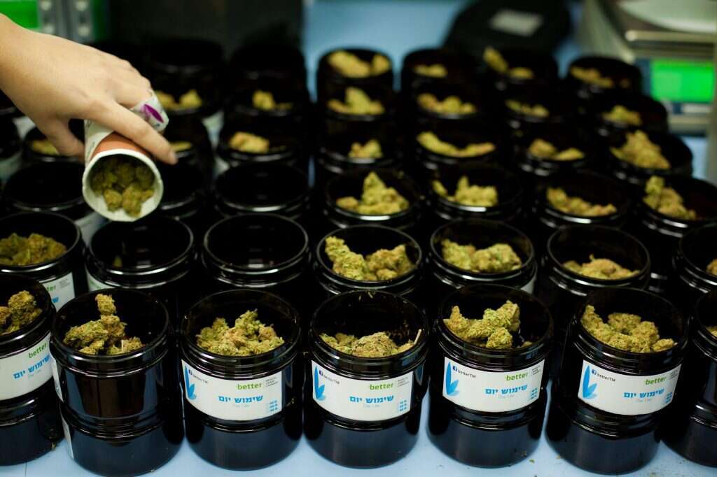 קנאביס רפואי. | אריק סולטן