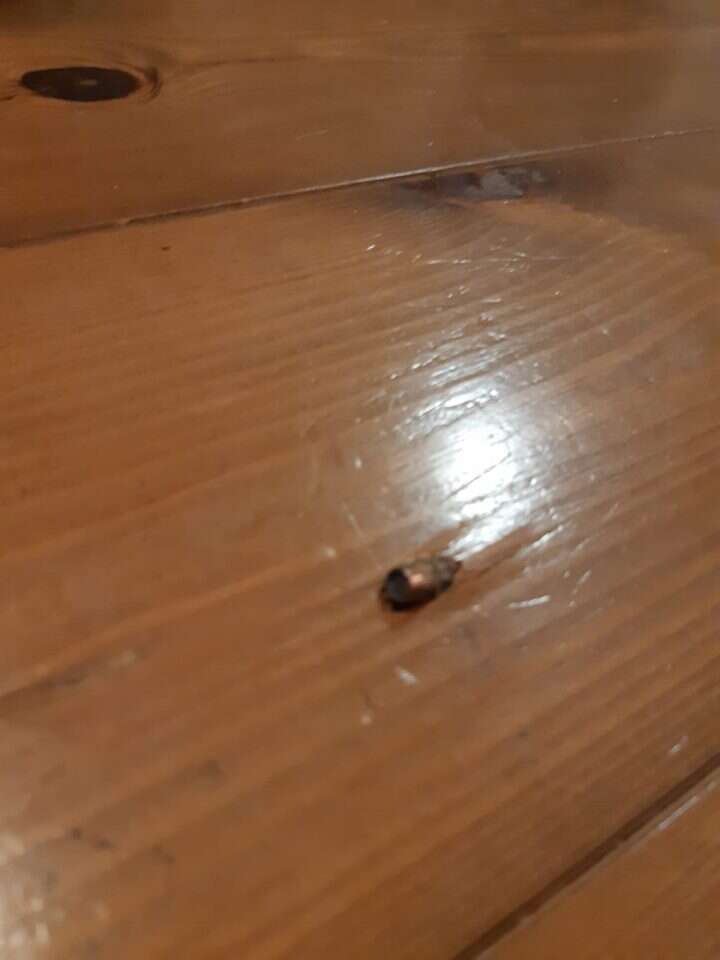 מהומות בכפר מנדא. | דוברות המשטרה מהומות בכפר מנדא. | דוברות המשטרה