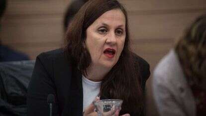 דינה זילבר בוועדת חוקה של הכנסת. | הדס פרוש, פלאש90