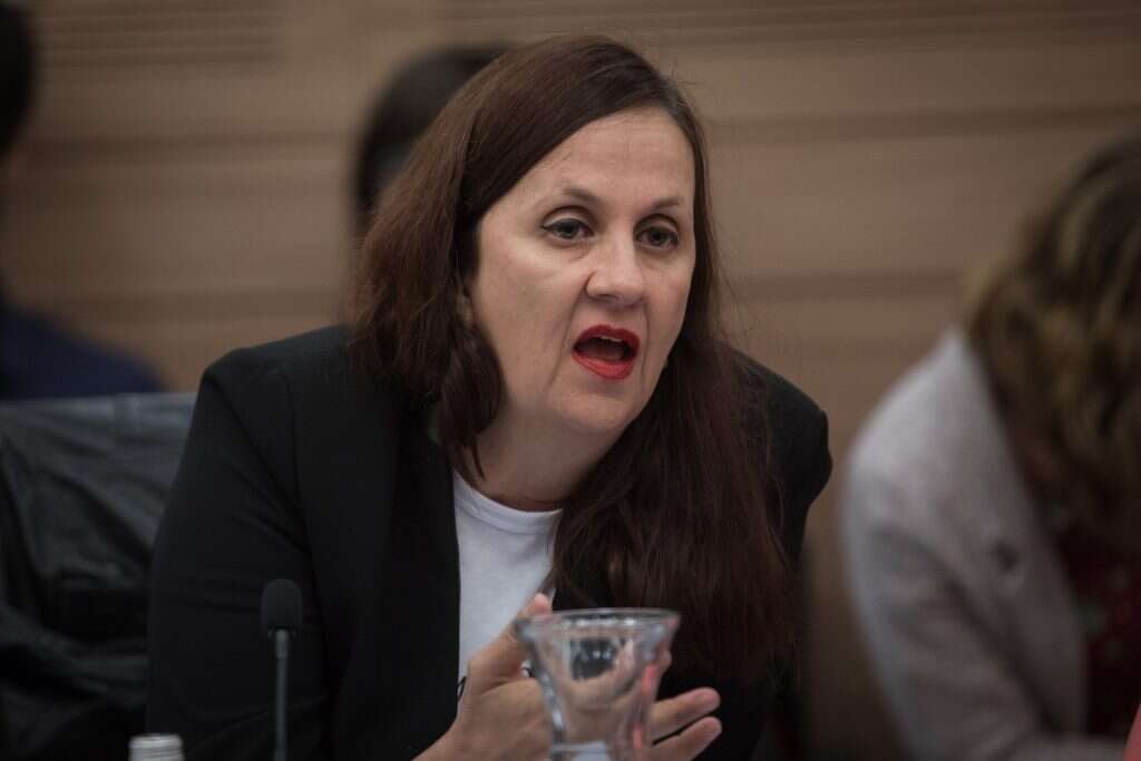 דינה זילבר בוועדת חוקה של הכנסת. | הדס פרוש, פלאש90