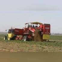 חקלאים בדרום הארץ. | מרים צחי