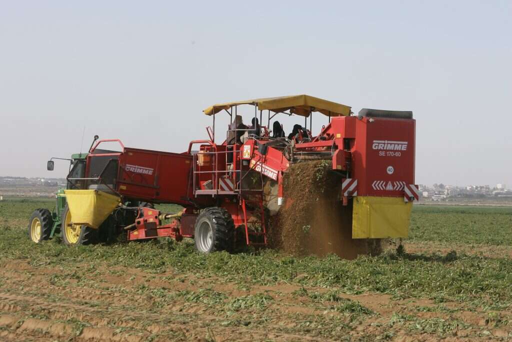 חקלאים בדרום הארץ. | מרים צחי