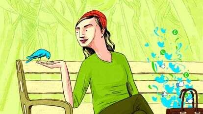 איור: מורן ברק איור: מורן ברק