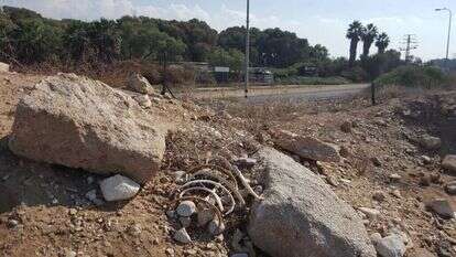 העצמות החשופות. | יאיר קראוס