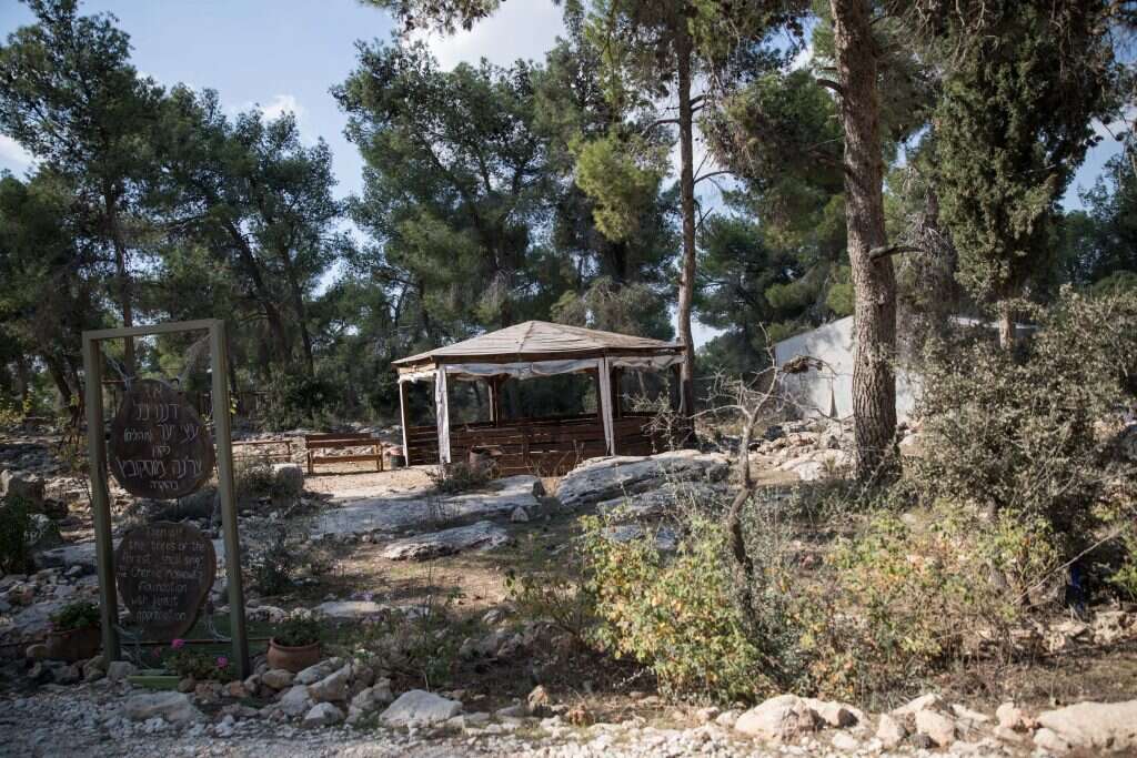 שמורת עוז וגאו"ן כיום. | מרים צחי