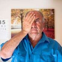 מאיר שניידר. | אביטל הירש