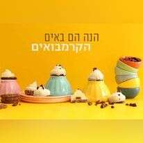 אפרת ליכטנשטט אפרת ליכטנשטט