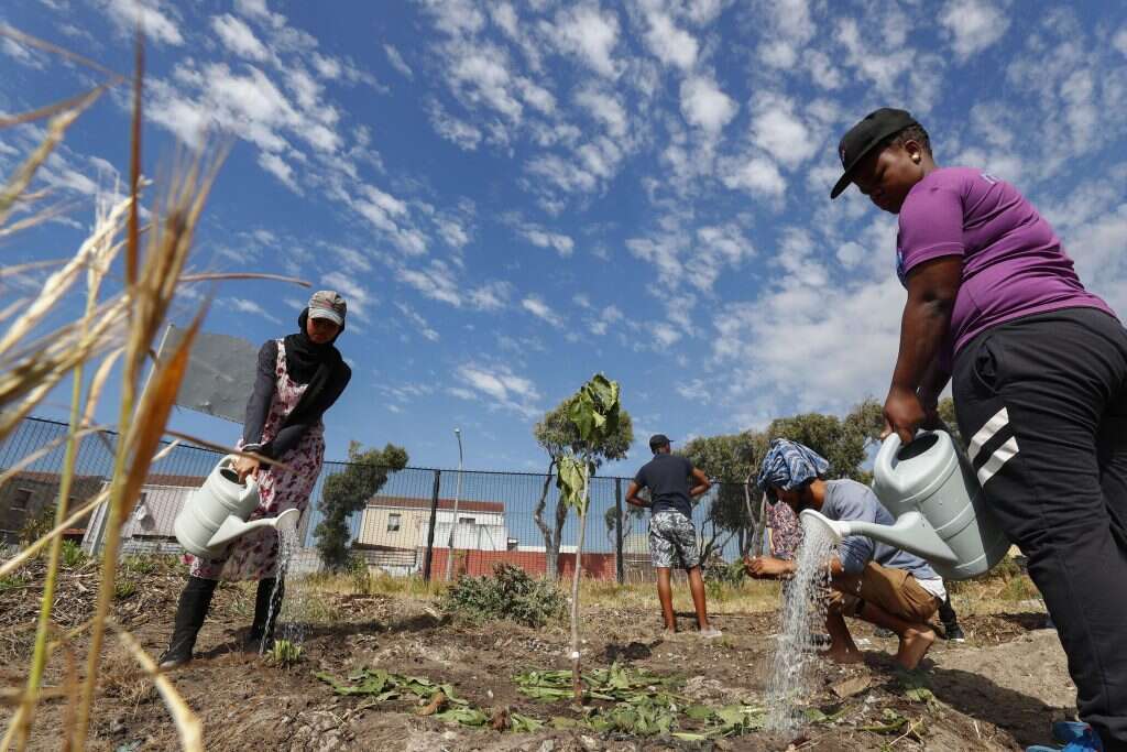 סטודנטים בקורס פרמקלצ'ר בקייפטאון. | EPA