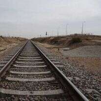 דודו גרינשפן