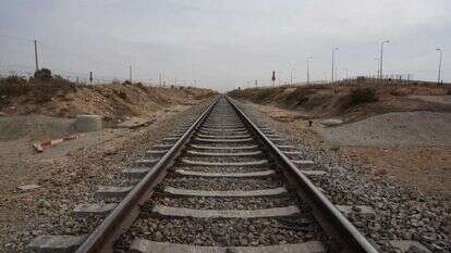 דודו גרינשפן