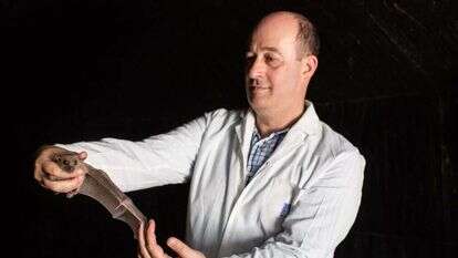 פרופ' נחום אולנובסקי. | אבישג שאר-ישוב