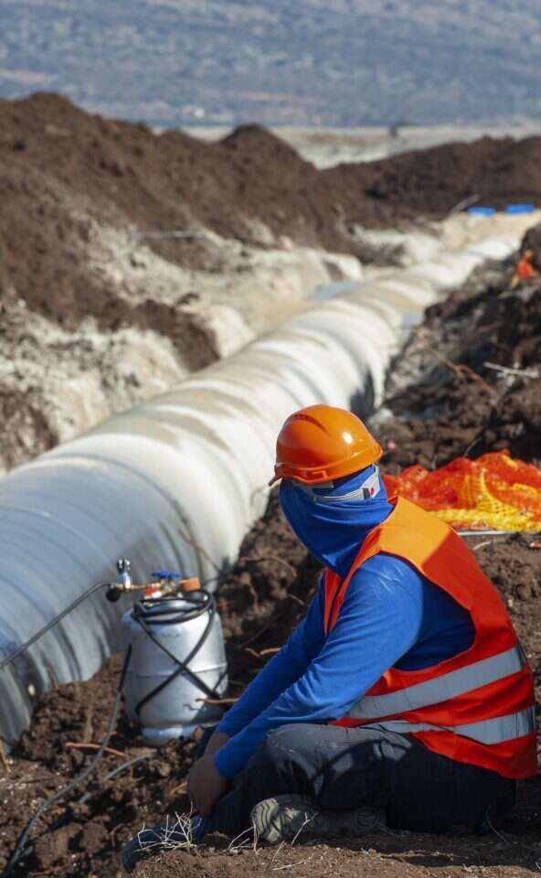 גיל אליהו, ג'יני גיל אליהו, ג'יני