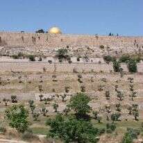 אתר המזבלה של הבית הראשון והשני בקדרון, למרגלות הר הבית. | צחי דבירה