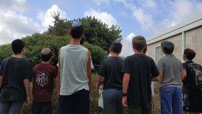 הילדים בבית-רימון