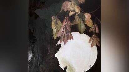 ענת בצר, ללא כותרת, שמן על  קנבס, 2017. | אניה קרופיאקוב