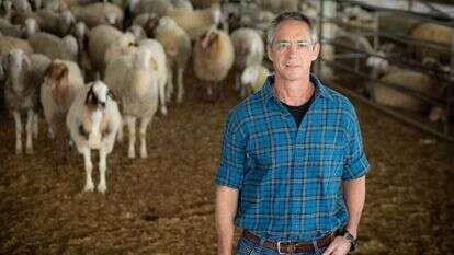 גלעד שרון. | אריק סולטן