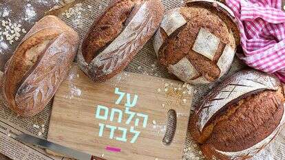 אפרת ליכטנשטט