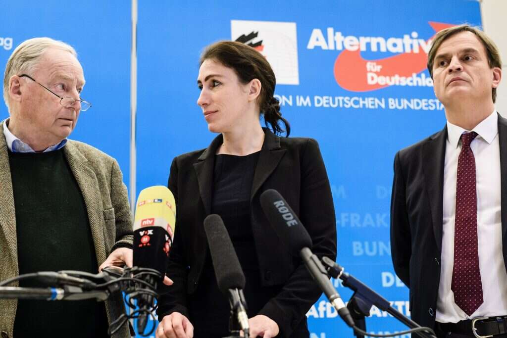 חברי מפלגת AfD הגרמנית. | EPA חברי מפלגת AfD הגרמנית. | EPA