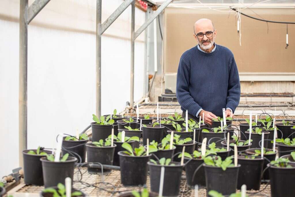 ד"ר עוז ברזני. | אבישג שאר-ישוב ד"ר עוז ברזני. | אבישג שאר-ישוב