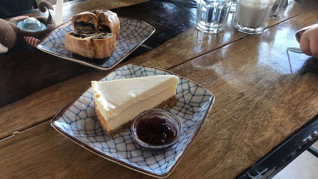 עוגת הגבינה. | אלון קורן