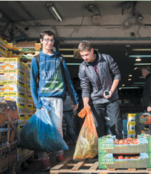 הדס פרוש/פלאש 90