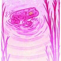 איור: מנחם הלברשטט