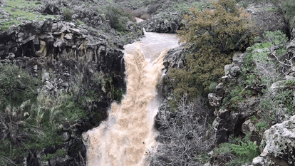 מפל זוויתן ברמת הגולן. | הדר ארצי, רשות הטבע והגנים