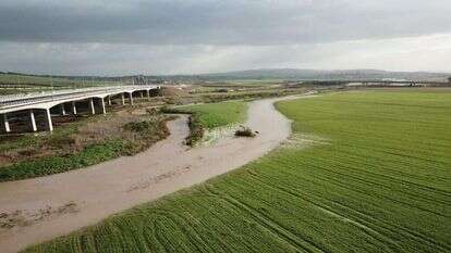 נחל הקישון. | רשות ניקוז ונחלים קישון