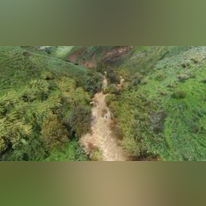 צילומי רחפן זרימות הנחלים לכינרת. ירדן משושים דליות | עמיר אלוני, רשות הטבע והגנים