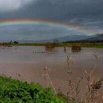 קשת בענן בצפון. | אייל מרגולין ג'יני