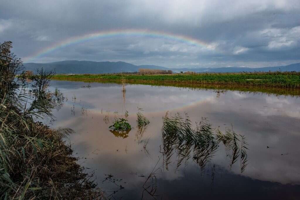 קשת בענן בצפון. | אייל מרגולין ג'יני