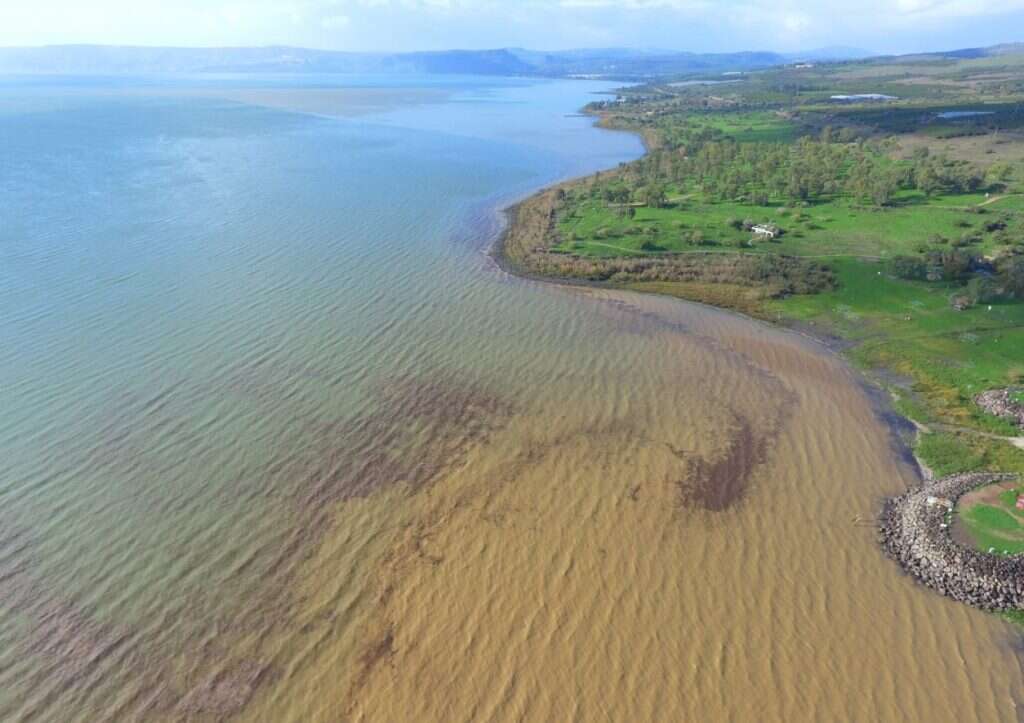הכנרת. | שי מזרחי, רשות הכינרת