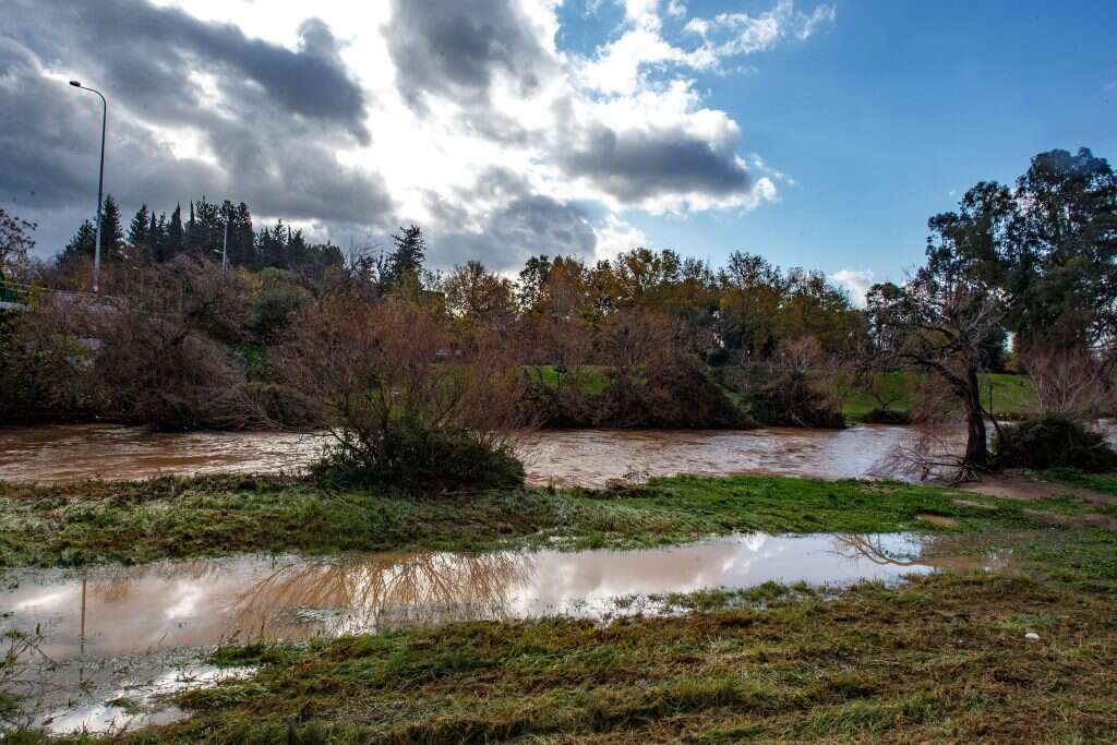 הנחלים זורמים. | אייל מרגולין ג'יני