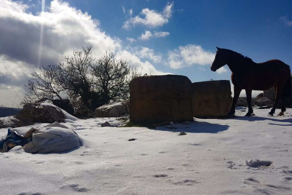שלג בחרמון. | אנצ'ו ג'וש ג'יני