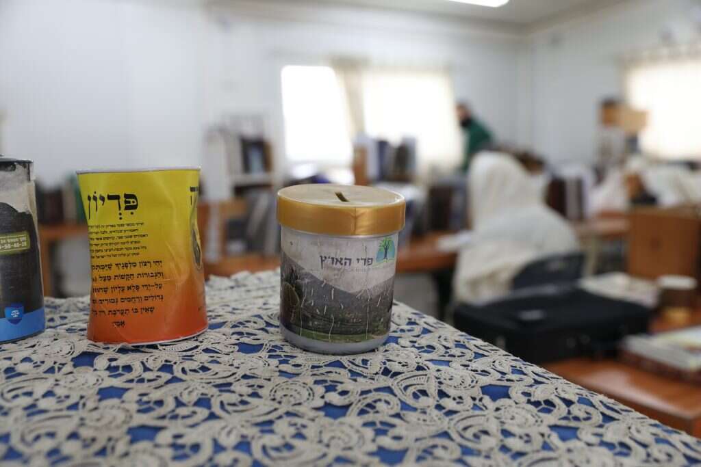 ישיבת פרי הארץ. | מרים צחי