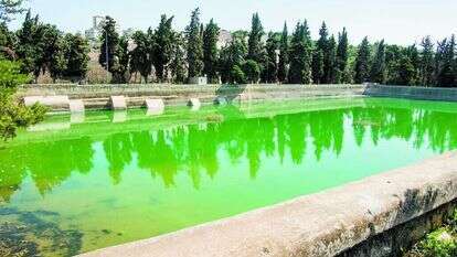 בריכות שלמה. | שאטרסטוק