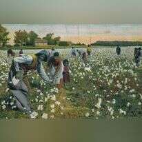 "העבד הוא אדם. יש לו זכויות". קטיף כותנה, ג'ורג'יה, 1900 | גטי אימג'ס