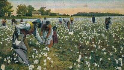"העבד הוא אדם. יש לו זכויות". קטיף כותנה, ג'ורג'יה, 1900 | גטי אימג'ס