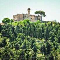 קבר שמואל הנביא. | הדס פרוש, פלאש 90